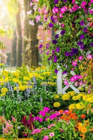 Fru Garden