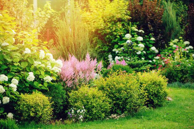 Fru Garden
